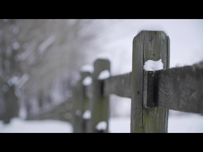 SNOW WINTER BACKGROUND 10