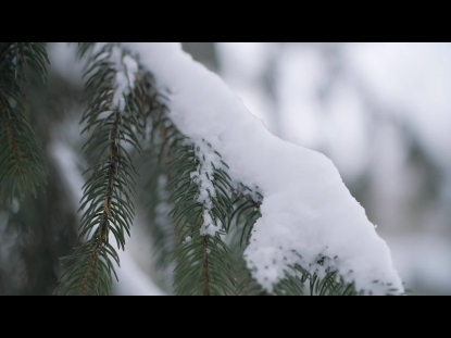 SNOW WINTER BACKGROUND 18