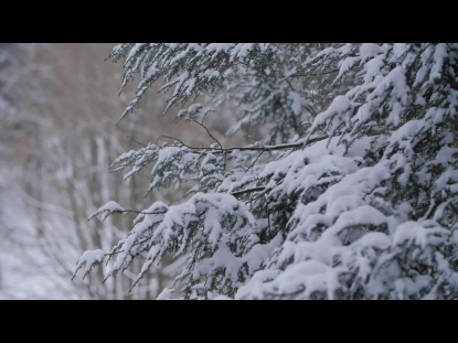 SNOW WINTER BACKGROUND 2