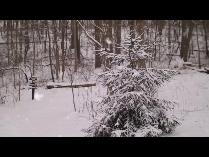 SNOW WINTER BACKGROUND 20