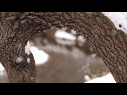 SNOW WINTER BACKGROUND 22