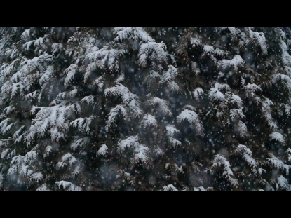 SNOW WINTER BACKGROUND 24