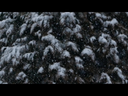 SNOW WINTER BACKGROUND 28