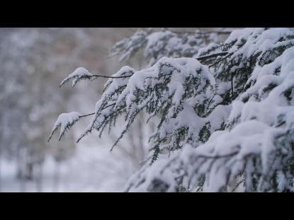 SNOW WINTER BACKGROUND 3