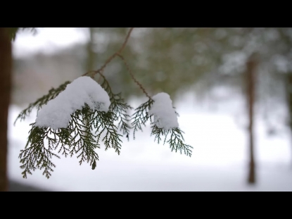 SNOW WINTER BACKGROUND 32