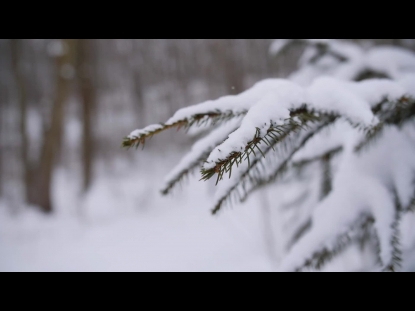 SNOW WINTER BACKGROUND 35