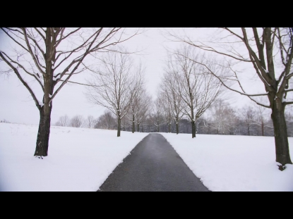 SNOW WINTER BACKGROUND 38