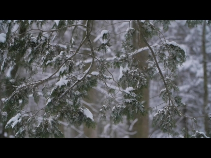 SNOW WINTER BACKGROUND 6