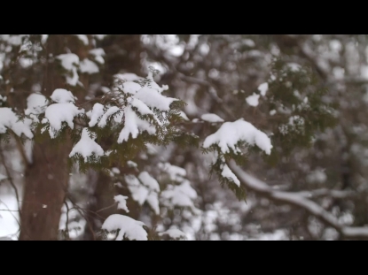 SNOW WINTER BACKGROUND 7