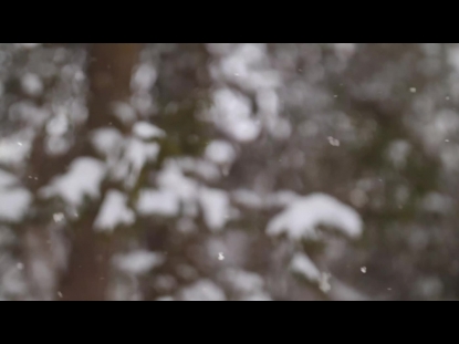 SNOW WINTER BACKGROUND 8