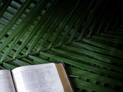 Bible Palm Sunday Branches | Motion Worship | WorshipHouse Media