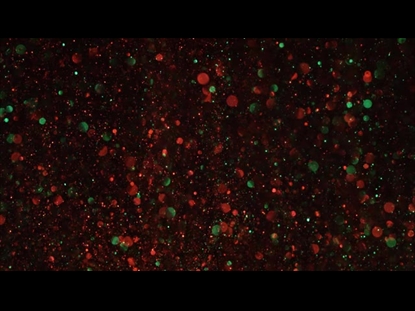 CHRISTMAS GLITTER AVALANCHE