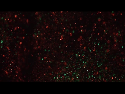 CHRISTMAS GLITTER DARK SWIRL