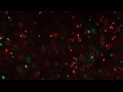 CHRISTMAS GLITTER FAST LIGHTS