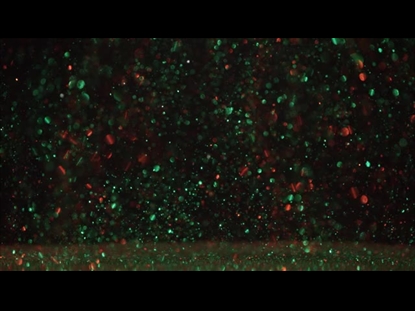 CHRISTMAS GLITTER LANDSCAPE