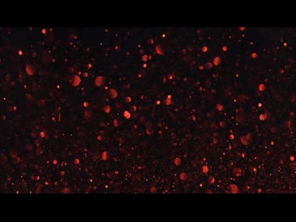 CHRISTMAS GLITTER RED