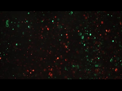 CHRISTMAS GLITTER SLOW DARK