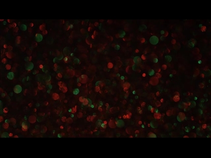 CHRISTMAS GLITTER SLOW LIGHTS