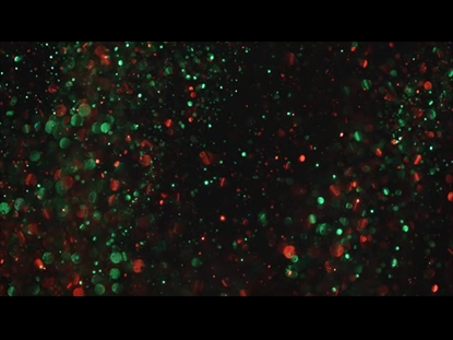 CHRISTMAS GLITTER SWIRL