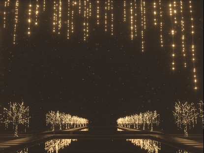 CHRISTMAS GOLD LIGHT STRINGS