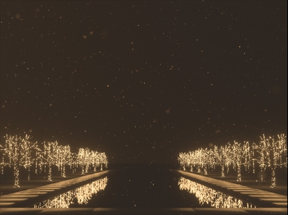 CHRISTMAS GOLD REFLECTING POOL