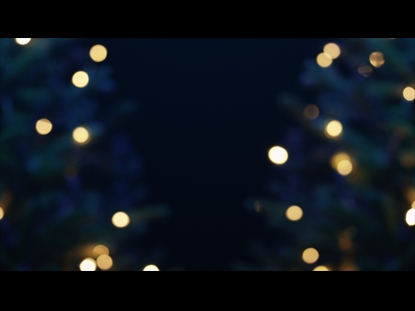 CHRISTMAS PINES BLUR TREES