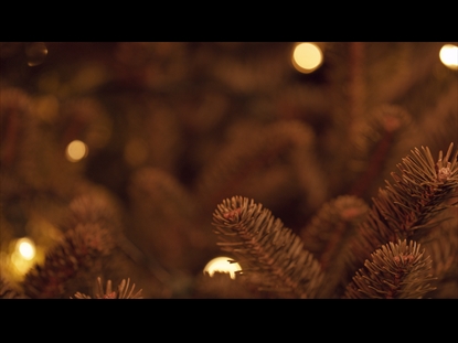 CHRISTMAS PINES GOLD CLOSE