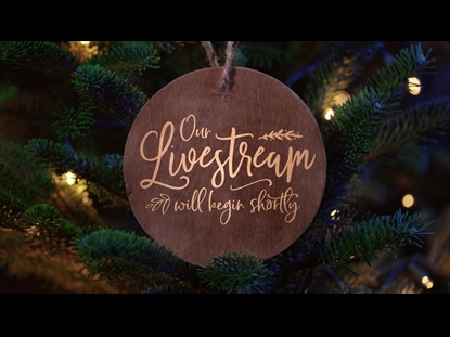 CHRISTMAS PINES LIVESTREAM