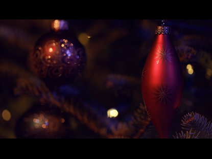 CHRISTMAS PINES ORNAMENTS