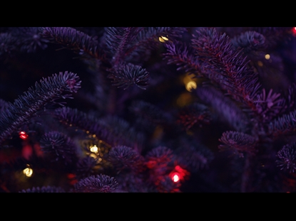 CHRISTMAS PINES PINK GOLD