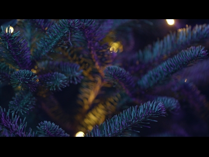 CHRISTMAS PINES PURPLE TEAL