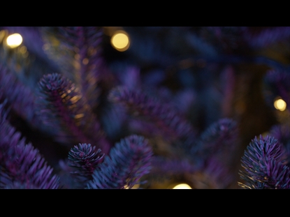CHRISTMAS PINES PURPLE TEAL CLOSE