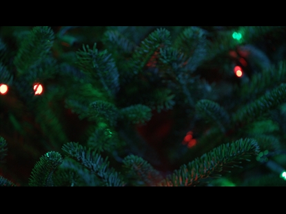 CHRISTMAS PINES RED GREEN LIGHTS