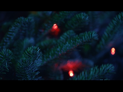 CHRISTMAS PINES REDLIGHTS