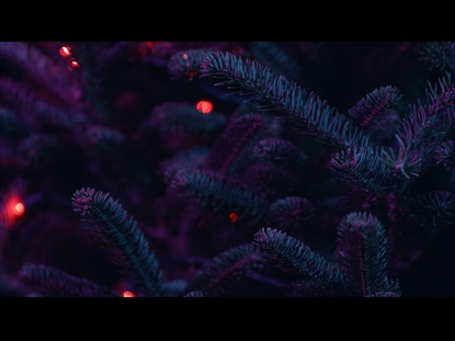 CHRISTMAS PINES RED LIGHTS PURPLE
