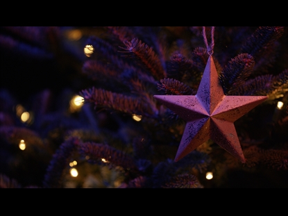 CHRISTMAS PINES STAR ORNAMENT