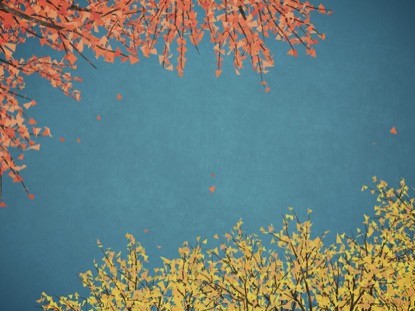 DIGITAL AUTUMN BLUE SKIES