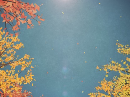 DIGITAL AUTUMN PASSING TREES