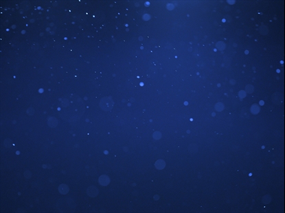 DUST STORM DEEP WATERS