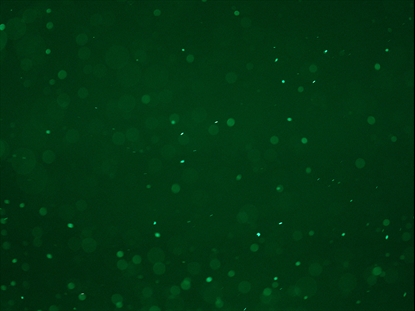 DUST STORM GREEN FLOW