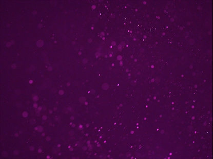 DUST STORM MAGENTA SWIRL