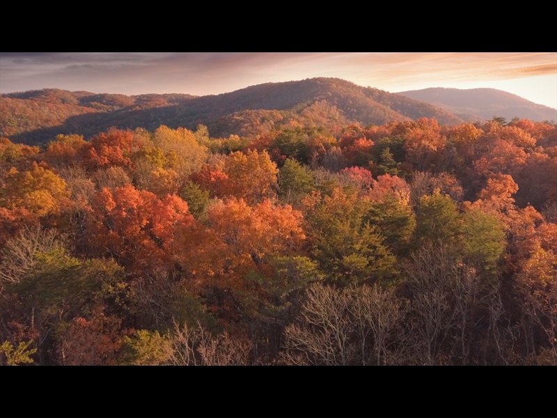 EPIC AUTUMN AERIAL LONGPLAY