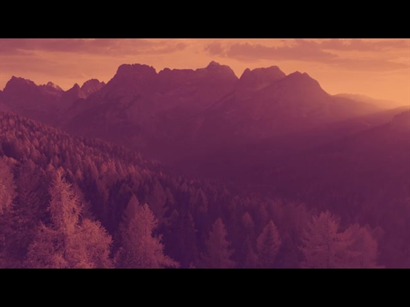 EPIC AUTUMN AERIAL GOLD PINK PINES