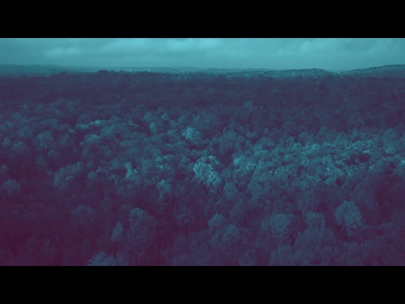 EPIC AUTUMN AERIAL REVERSE COOL
