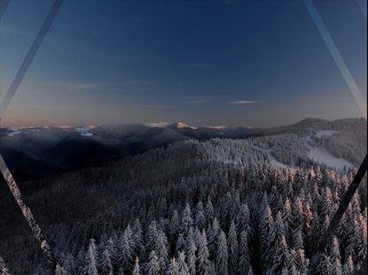 EPIC WINTER AERIAL SNOWY TREES