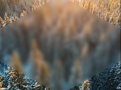 EPIC WINTER AERIAL TREES BLUR