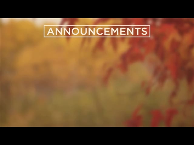 FALL COLORS ANNOUNCEMENTS