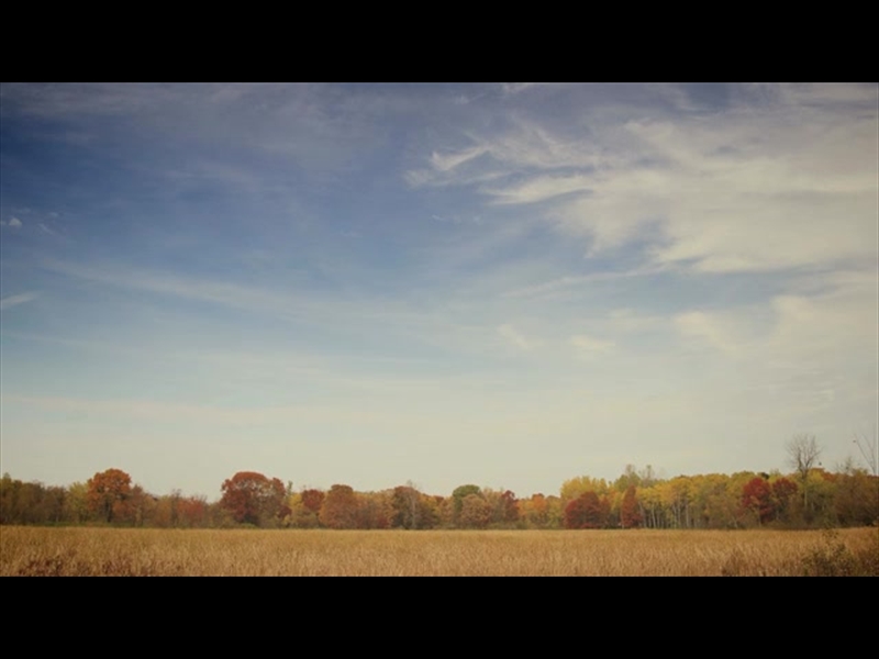 Fall Colors Blue Sky | Motion Worship | WorshipHouse Media