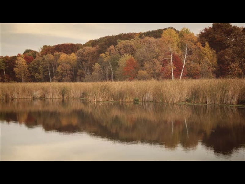 FALL COLORS WATER REFLECTIONS