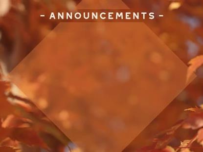 FALL FOCUS ANNOUNCEMENTS